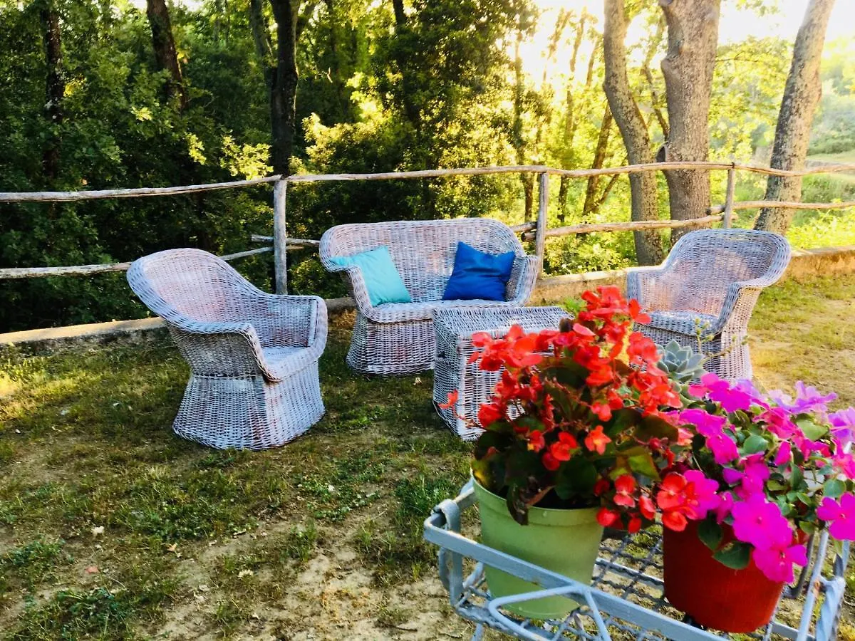 Villa Viva House Montaione