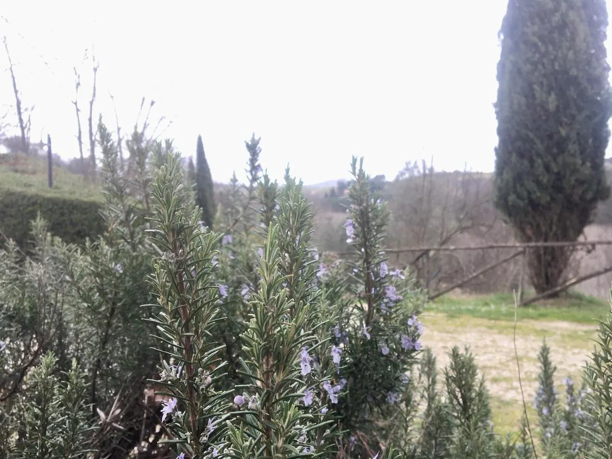 Viva House Villa Montaione Semesterbostad