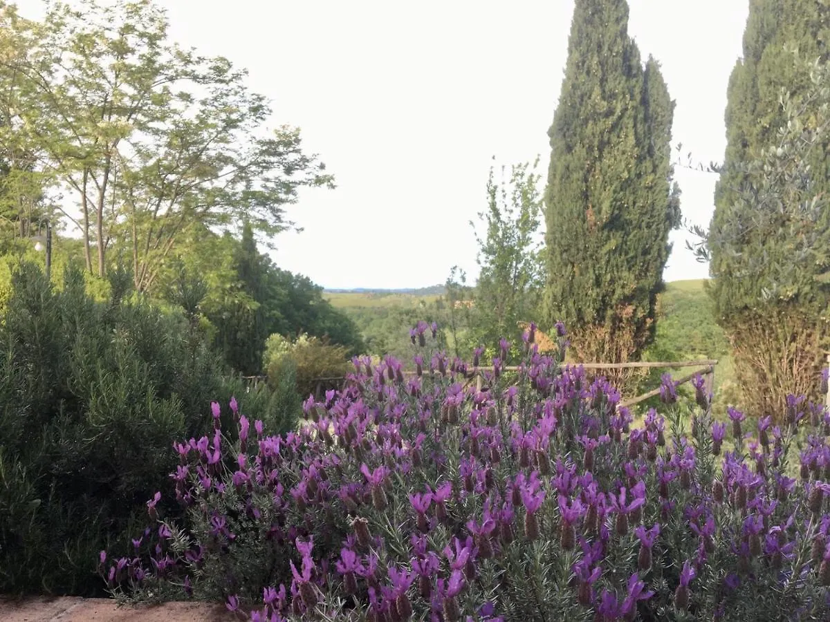 Semesterbostad Viva House Villa Montaione